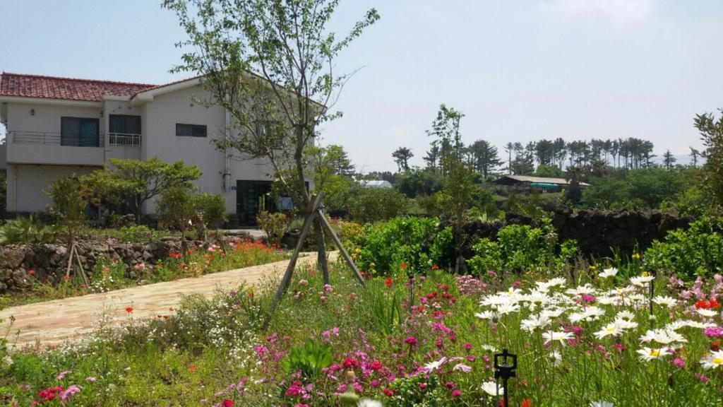 Baghdad House Villa Jeju Exterior photo